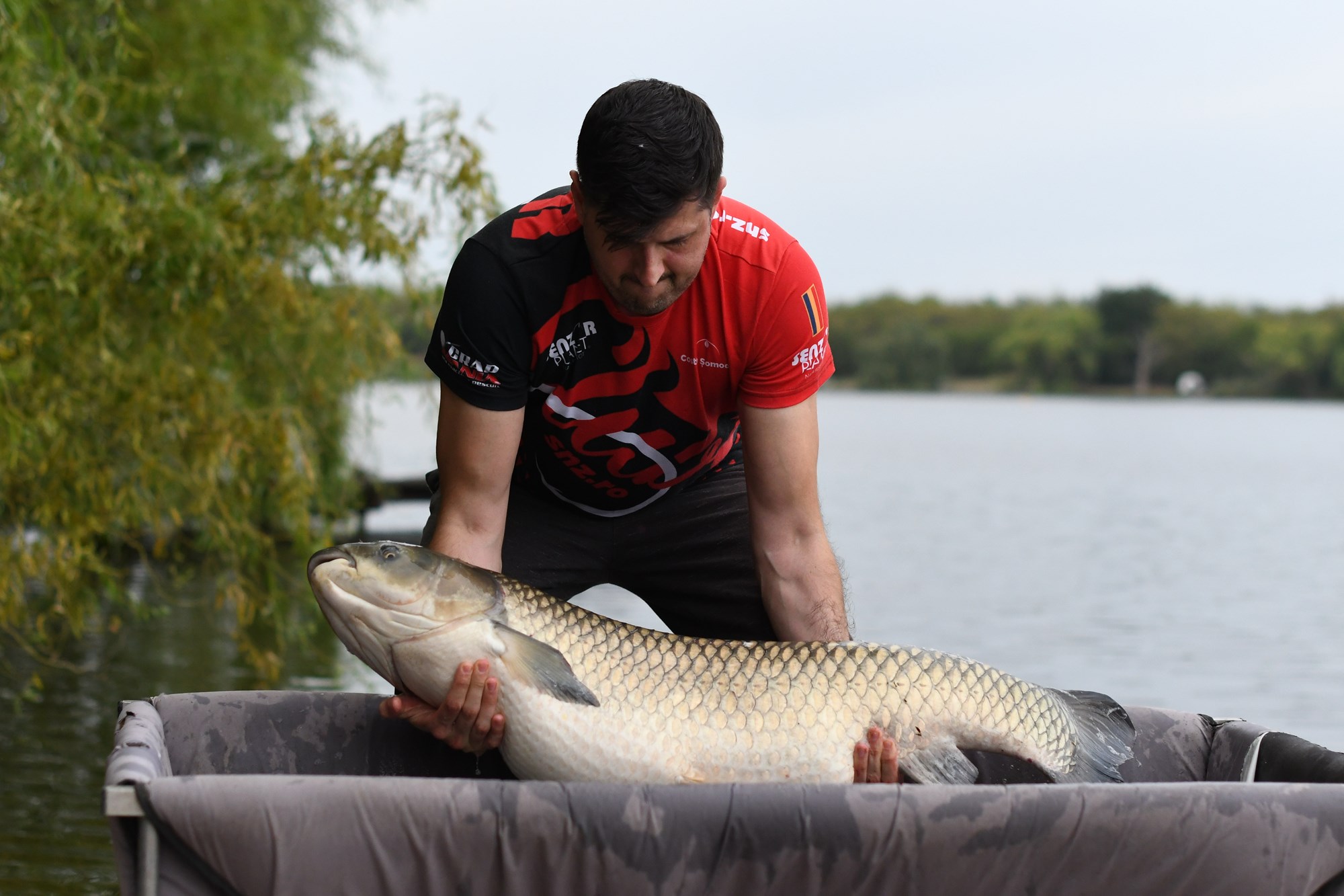 Tancabesti 17 - 23 sept. - DSC8648.jpg